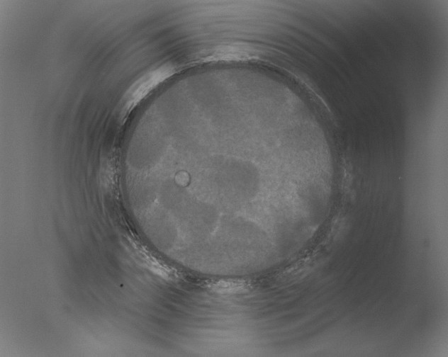 X0000076060874200610201945