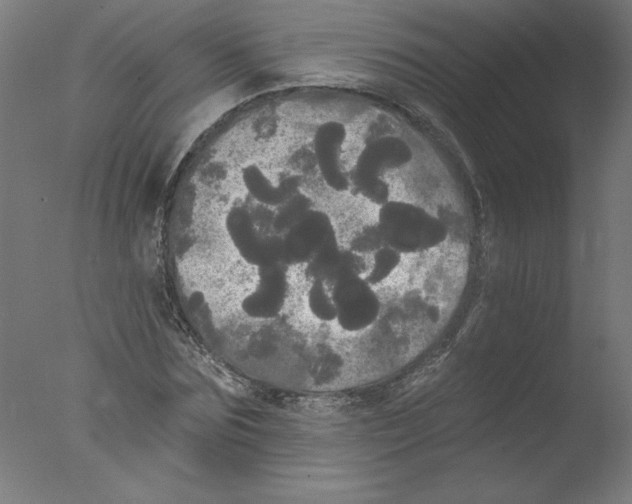 X0000076060875200610201945