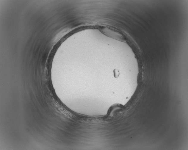 X0000076060876200610201945