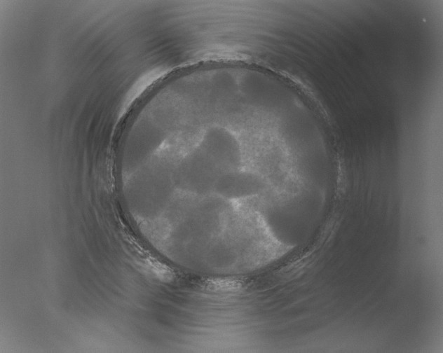 X0000076060878200610201945