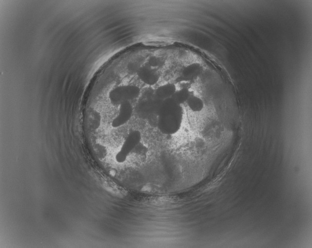 X0000076060879200610201945