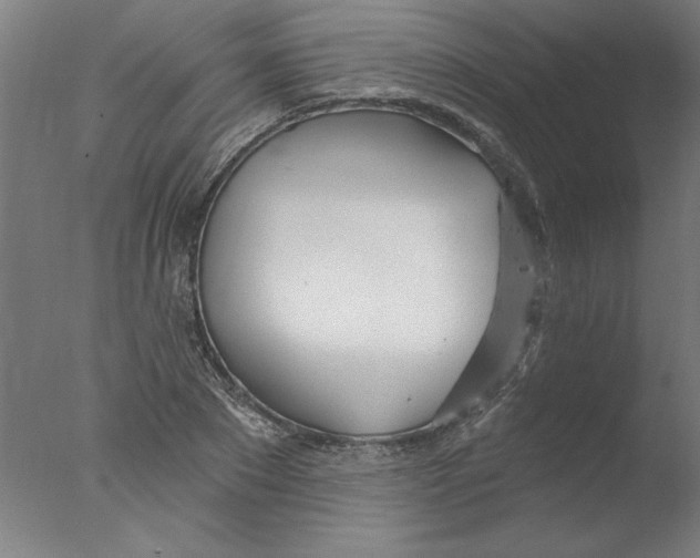 X0000076060881200610201945