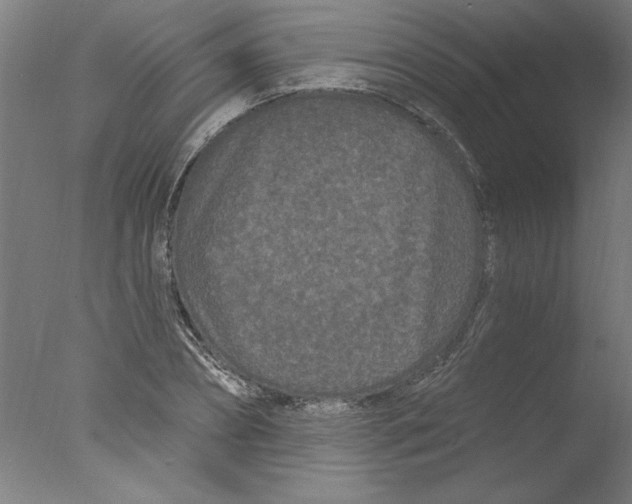 X0000076060882200610201945