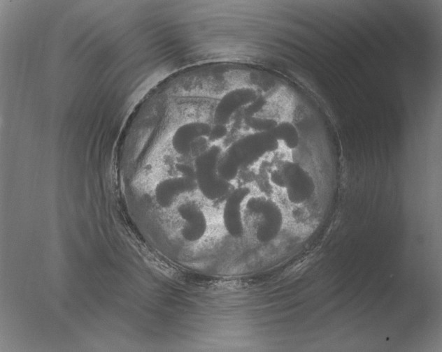 X0000076060883200610201945