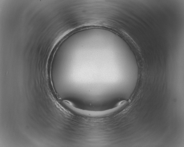 X0000076060884200610201945