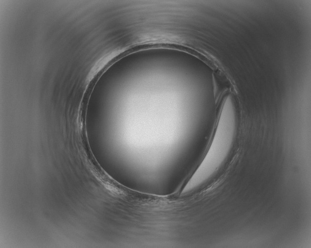 X0000076060885200610201945