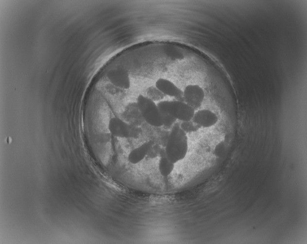 X0000076060887200610201945