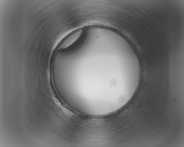 X0000076060888200610201945