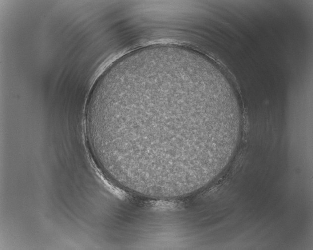 X0000076060890200610201945