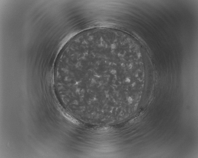 X0000076060891200610201945