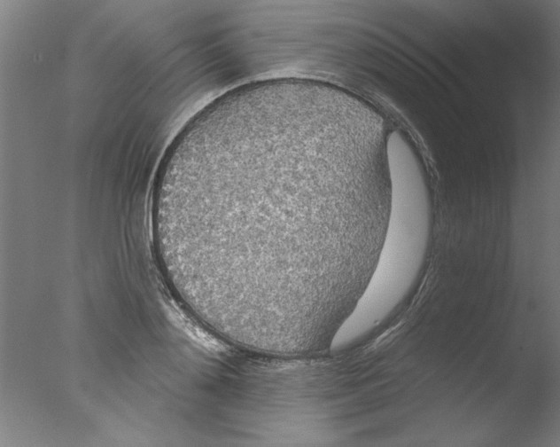 X0000076060892200610201945