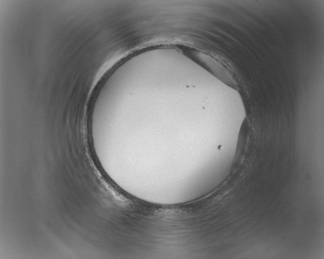 X0000076060894200610201945