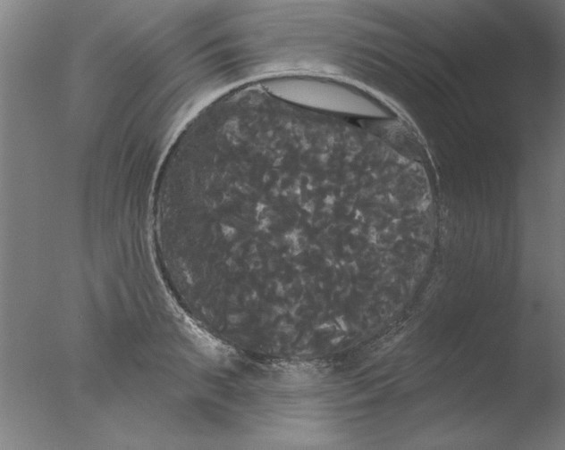 X0000076060895200610201945