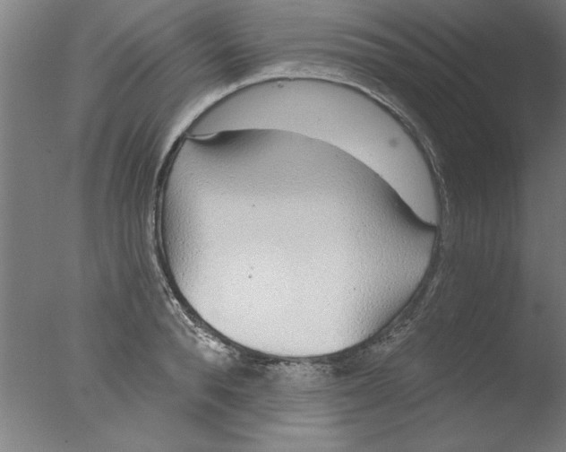 X0000076060896200610201945