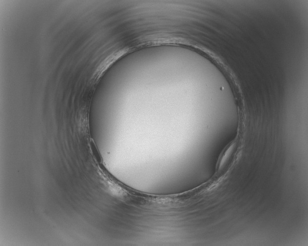 X0000076060897200610201945