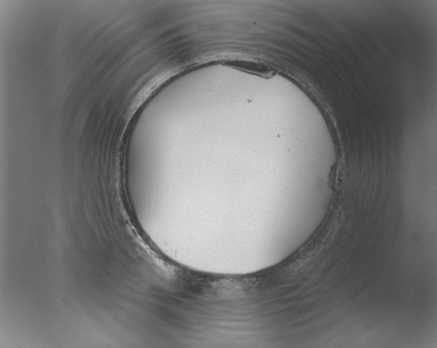 X0000076060898200610201945