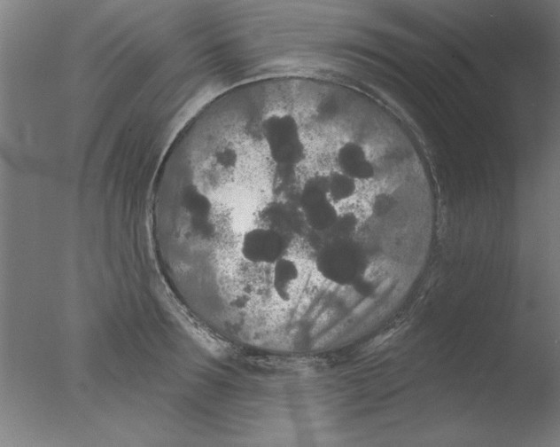 X0000076060899200610201945