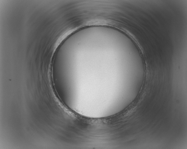 X0000076060901200610201945