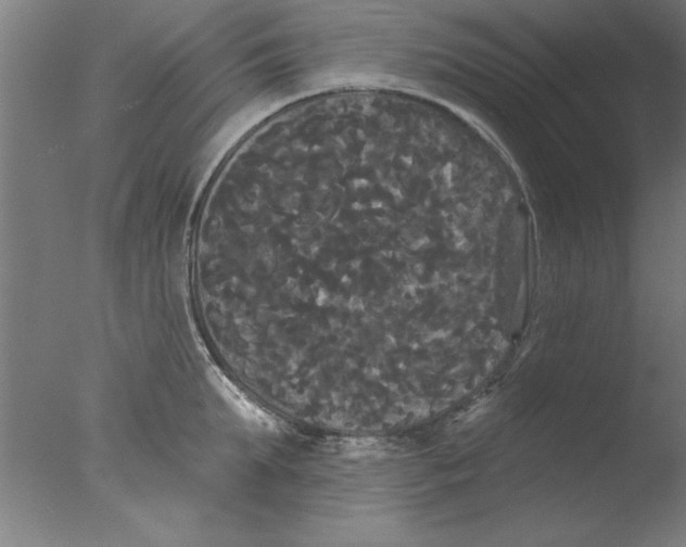 X0000076060903200610201945