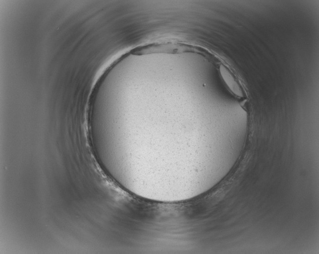 X0000076060904200610201945