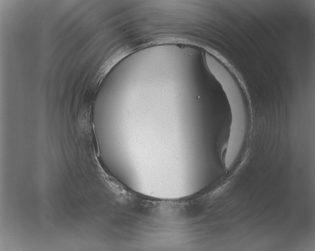 X0000076060905200610201945