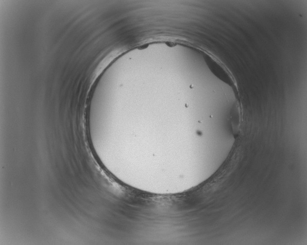 X0000076060906200610201945