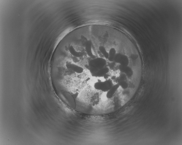 X0000076060907200610201945