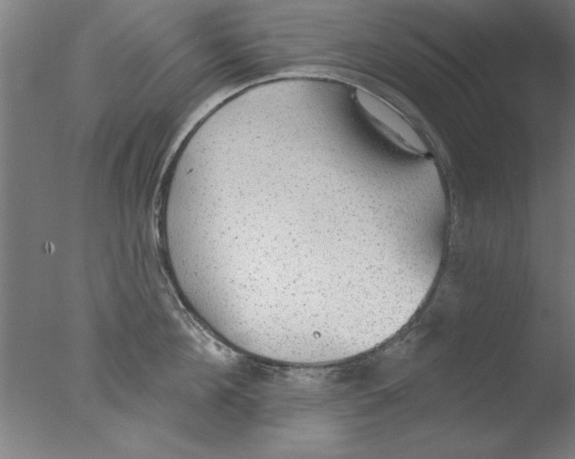 X0000076060908200610201945