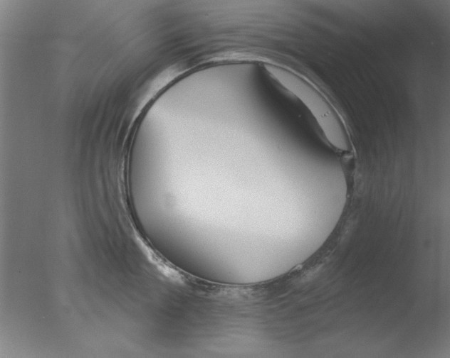 X0000076060909200610201945