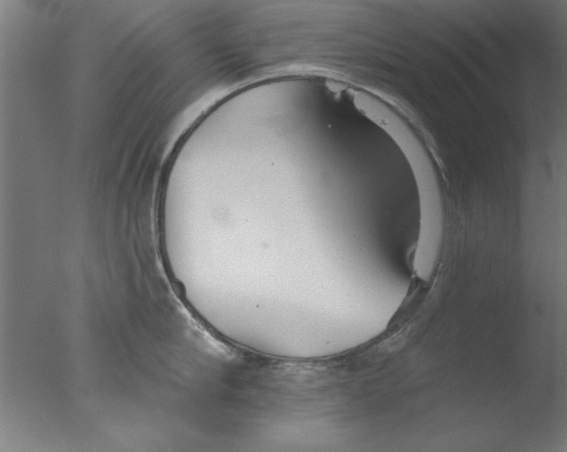 X0000076060910200610201945