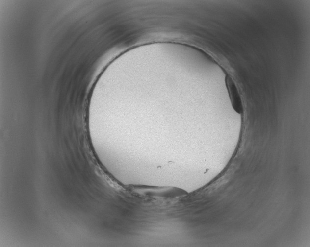 X0000076060912200610201945