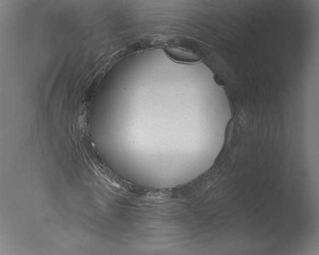 X0000076060914200610201944