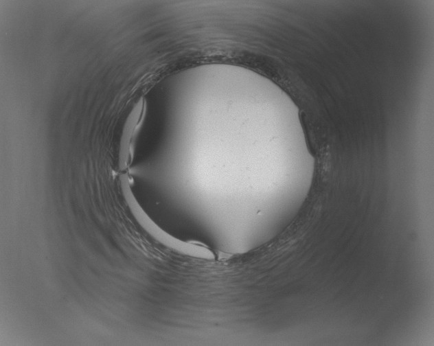 X0000076060916200610201944