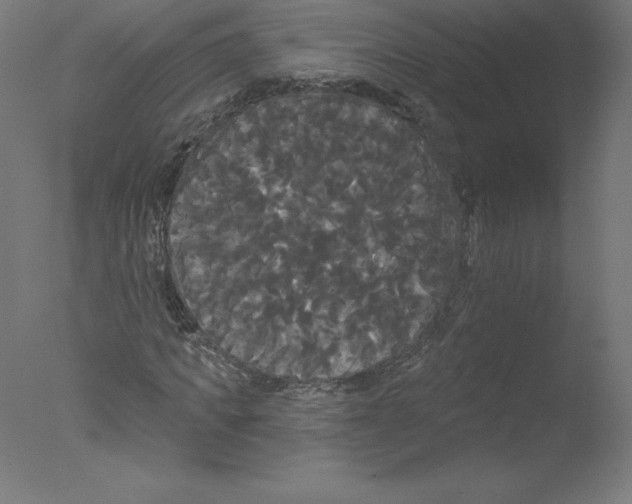 X0000076060917200610201944