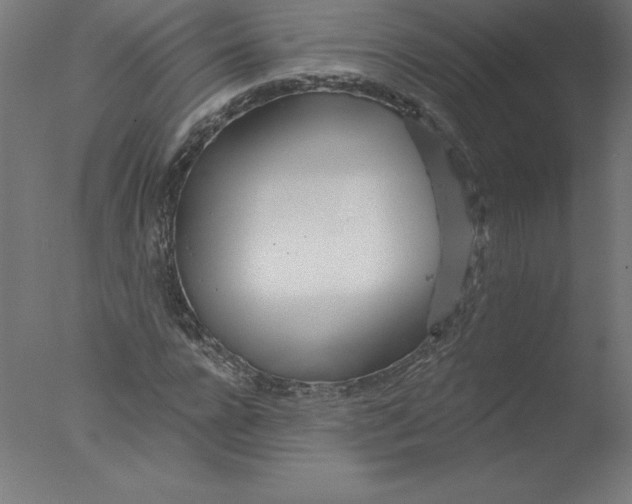 X0000076060920200610201944