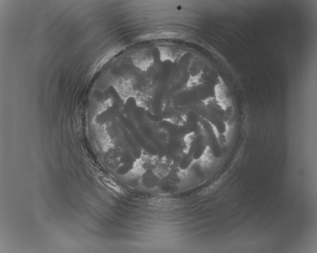 X0000076060921200610201944