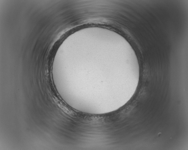 X0000076060923200610201944