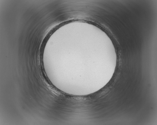 X0000076060924200610201944