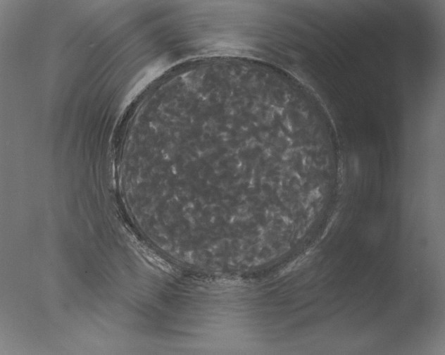 X0000076060925200610201944