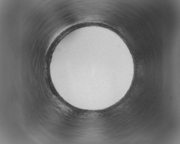 X0000076060926200610201944