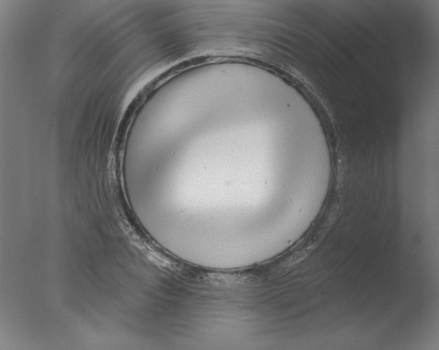 X0000076060928200610201944