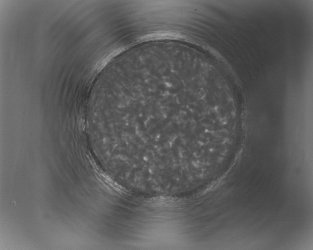 X0000076060929200610201944