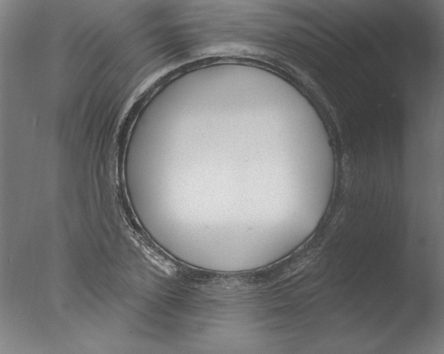 X0000076060931200610201944