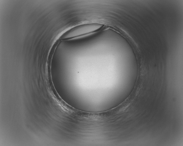 X0000076060932200610201944