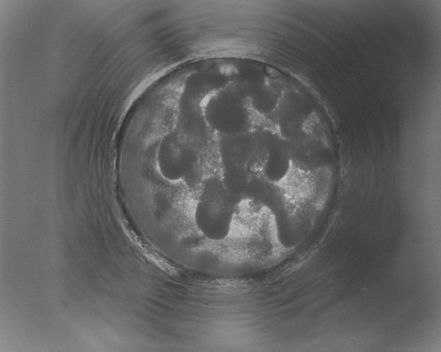 X0000076060933200610201944