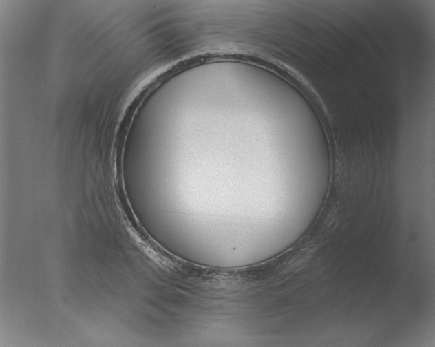 X0000076060935200610201944