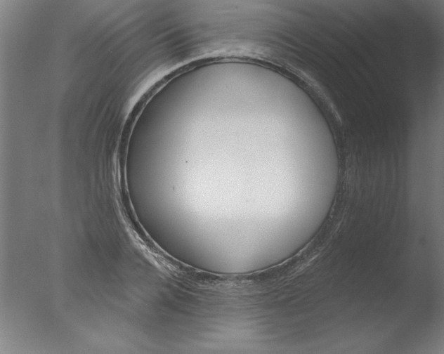 X0000076060936200610201944