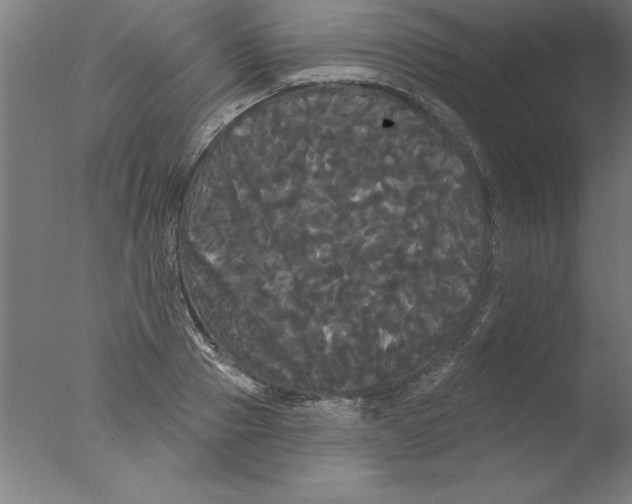 X0000076060937200610201944