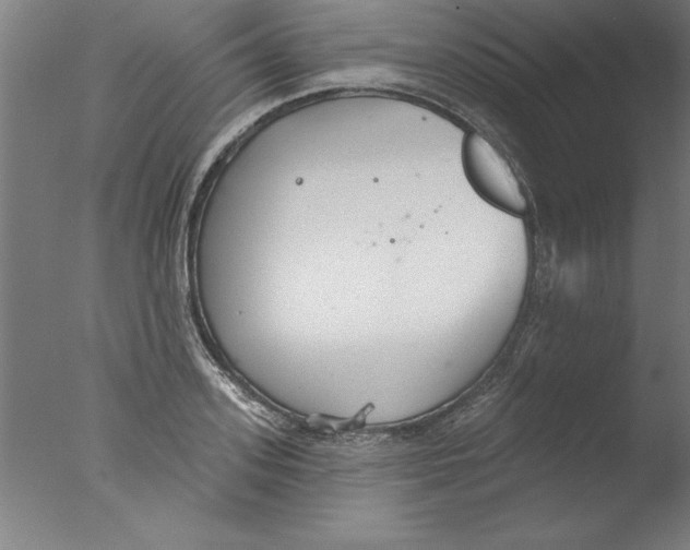 X0000076060939200610201944