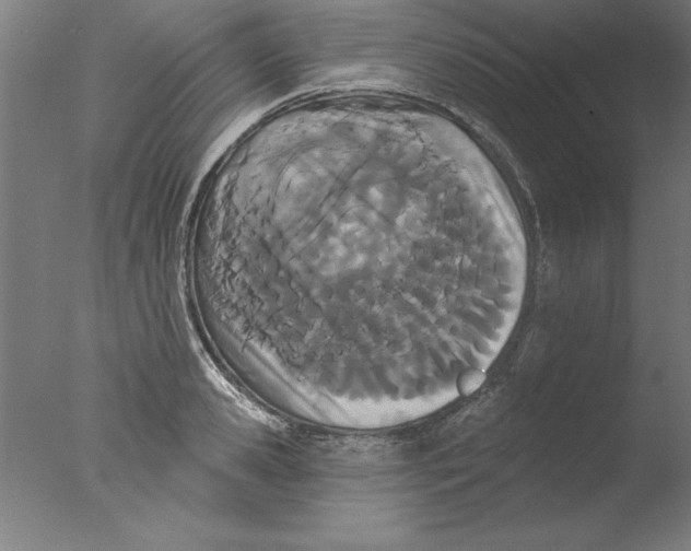 X0000076060941200610201944